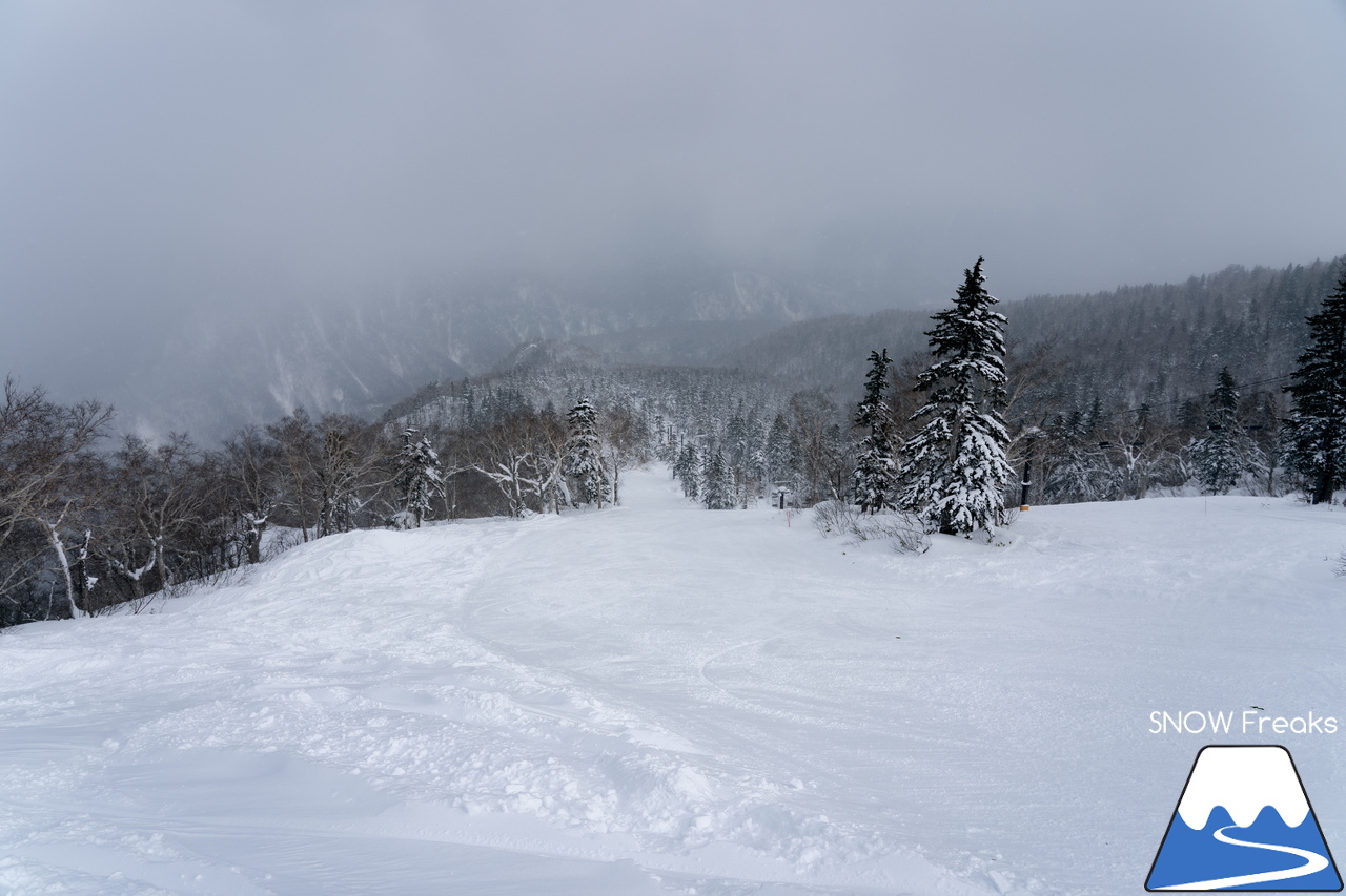 大雪山層雲峡・黒岳ロープウェイスキー場｜北海道ならではの静かな大自然とふわふわのパウダースノーを堪能するなら、のんびり真冬の『黒岳』がおススメです。